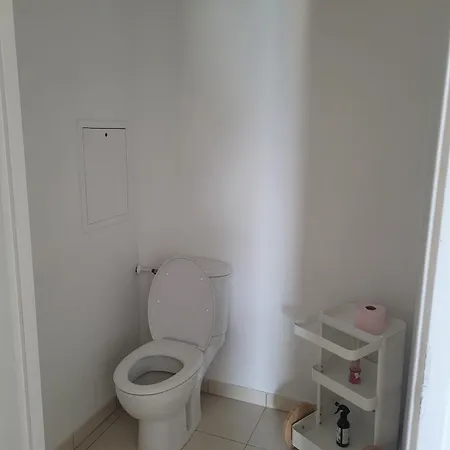 Le Grenoblois Apartment *